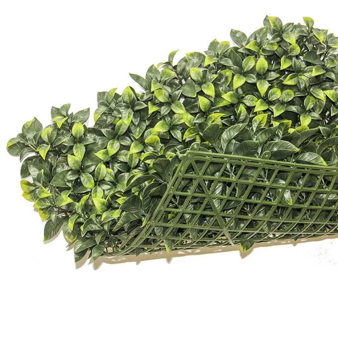 Le mur en plastique d'usine de verdure de panneaux engazonnent le contexte artificiel de mur d'herbe pour le décor d'intérieur de restaurant à la maison
